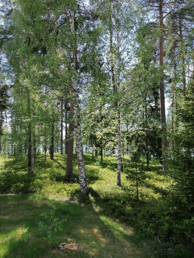 Birgittagarden - Gaesthem - Birgittasystrarna Bed & Breakfast Фалун Екстериор снимка