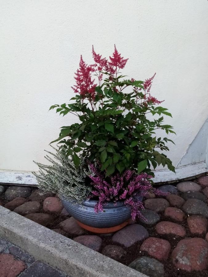 Birgittagarden - Gaesthem - Birgittasystrarna Bed & Breakfast Фалун Екстериор снимка